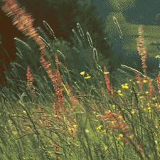 天津媳妇护肤怎么样