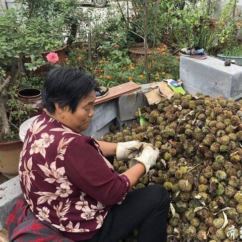 济南市摆摊车哪里有卖