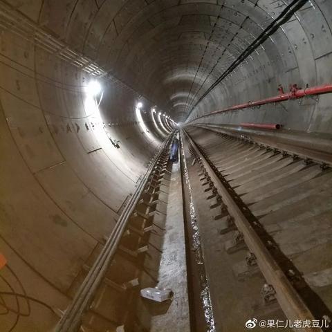 无锡市哪里能看老虎馆的