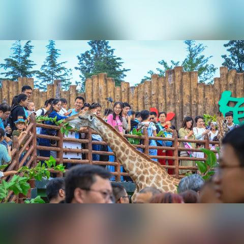 济南市什么气候