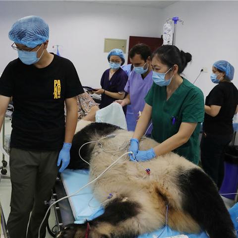 成都市二院口腔科怎么样