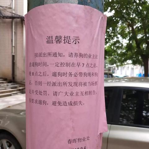 邯郸市今天限行什么尾矿的长尾关键词有哪些