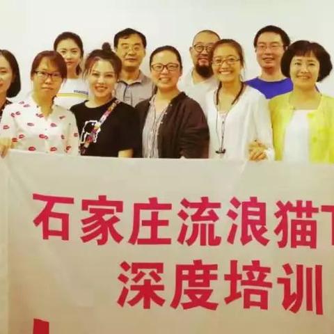 石家庄市哪里收宠物猫