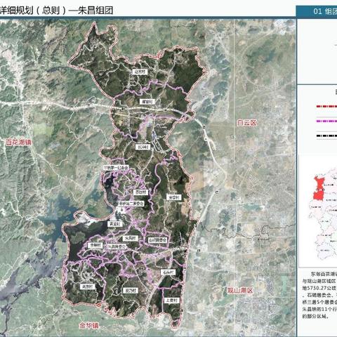 河南金麦8号怎么样