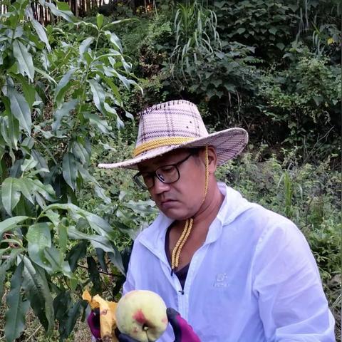 宁波市海曙区有什么优势