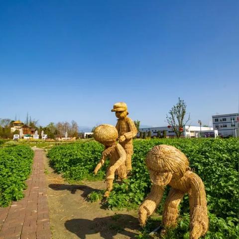 成都市战旗村在哪里