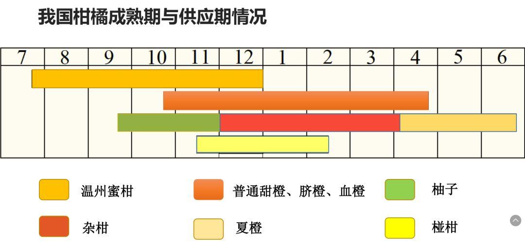 愛(ài)媛28號品種介紹_紅美人哪個(gè)品種最正宗