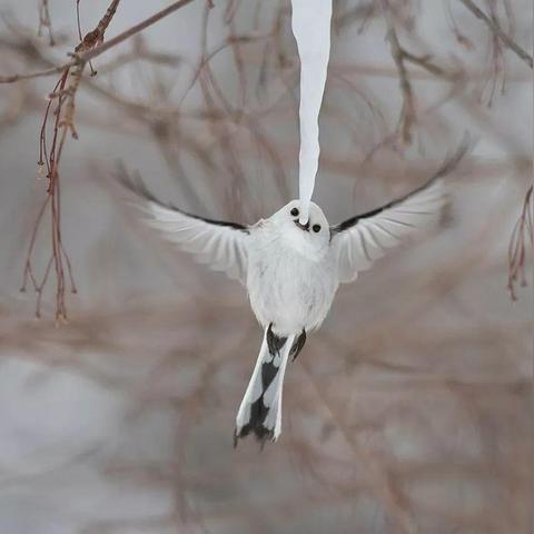 今天上海气温如何的长尾关键词有什么