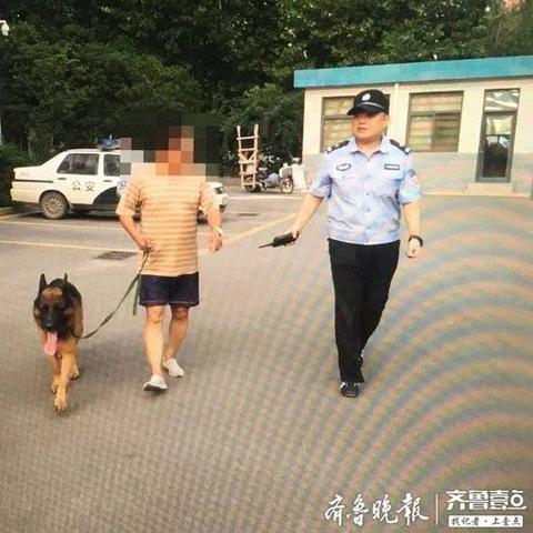 养犬证济南相关长尾关键词有哪些