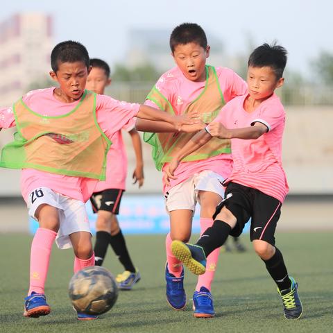 石家庄市体育局 招标的长尾关键词有什么