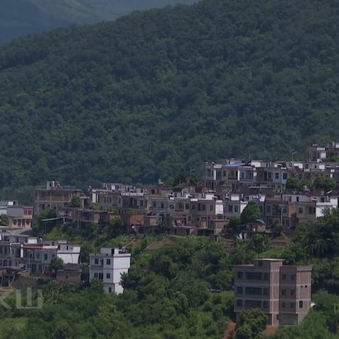 集体户口可以申请低保户吗？