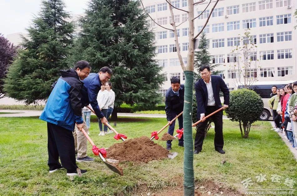 红花玉兰,你手机拍过哪些漂亮的花海?