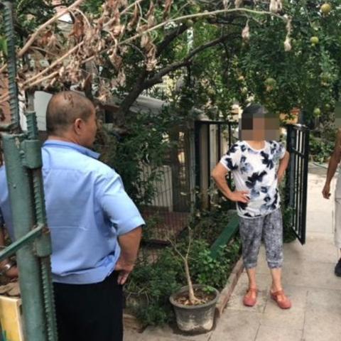 济南市区不能养什么狗