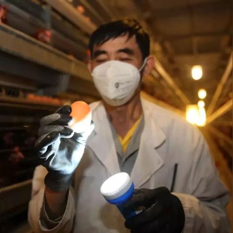 河北省邯郸市至江苏南通的长尾关键词有哪些