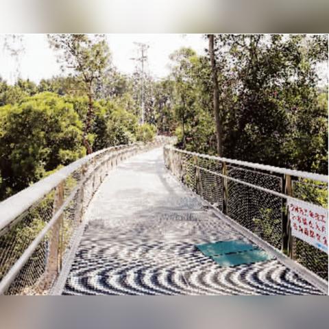 去厦门市哪里办健康证