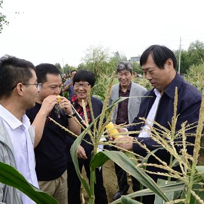 河南农大在哪个县