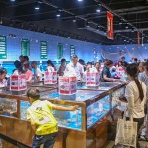 广东省佛山市室内篮球场的长尾关键词有哪些