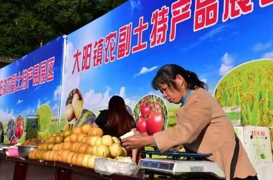 春种秋收天道酬勤，云阳大地奏响“丰收节”赞歌