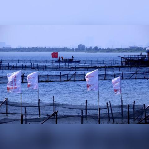 2025.11.18常熟今日气温变化情况