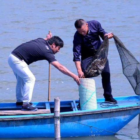 2025.11.28常熟今日气温变化情况