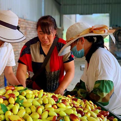 天津物流中转站在哪个区