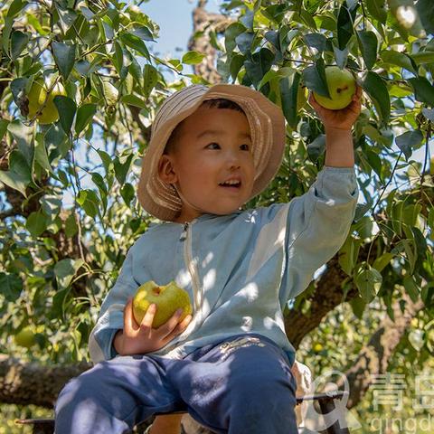 广东省佛山市石梁卖水果的长尾关键词有哪些