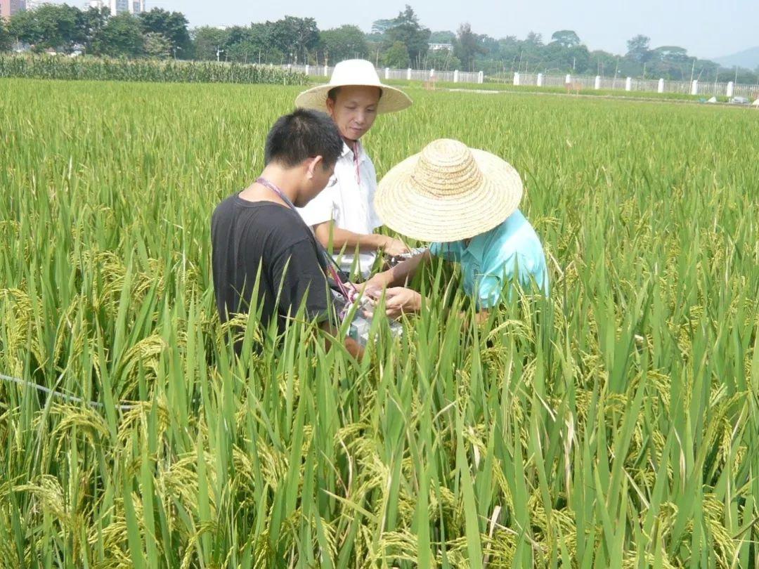 建筑机械化论文研究思路机械工程文有哪些方向