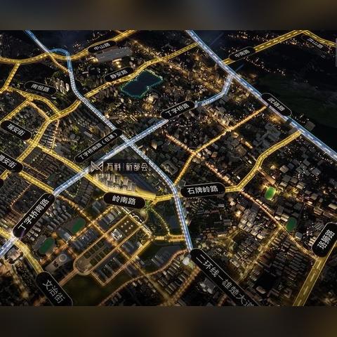武汉市板子桥是哪个区的