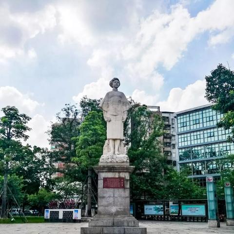 广东省佛山市禅城区展览新店开业的长尾关键词有哪些