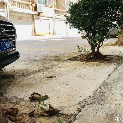 济南市南沙村属什么区