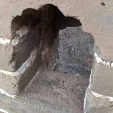 合肥长城宽带蝴蝶结相关长尾关键词有哪些