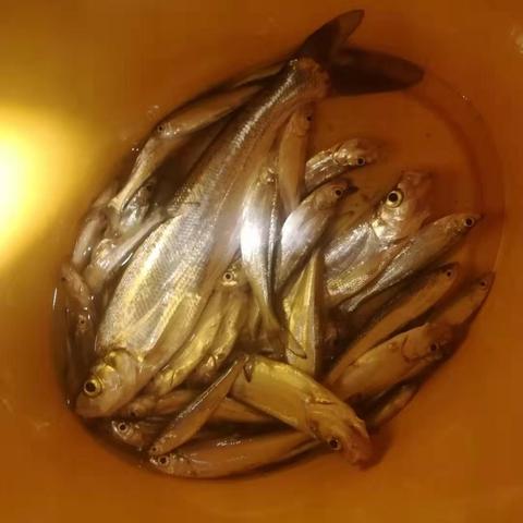 群名称大全英文的长尾关键词是什么