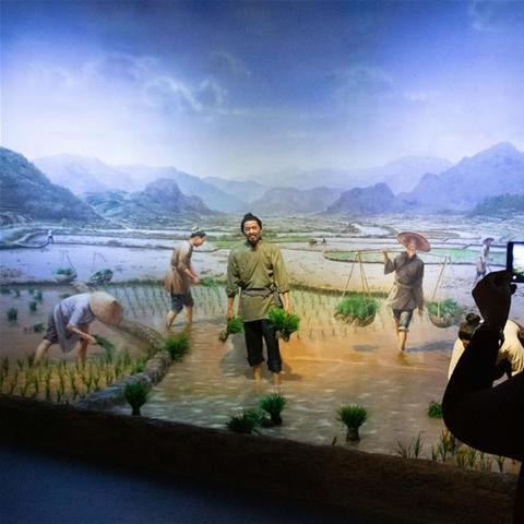 长沙市省博物馆里有什么