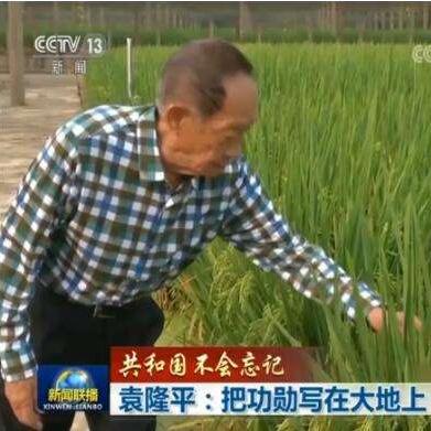 八字怎么看子女有几男几女呢视频_八字怎么看有几个子女(八字怎样看有几个孩子)