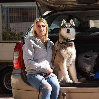 海外电商卖宠物狗怎么样 相关的长尾关键词有哪些 