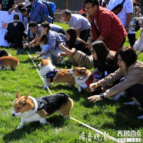 济南市学车报名费多少