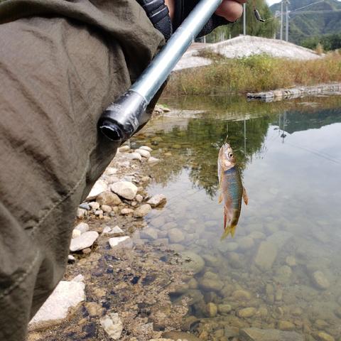 昆明市丰宁区美食的长尾关键词有什么