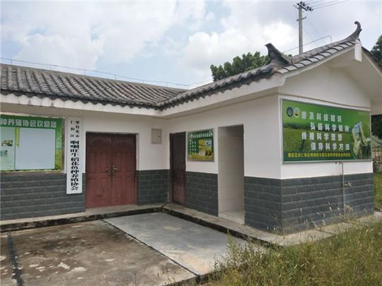 攀枝花市仁和区啊喇乡“党支部+协会+康养旅游”红红火火