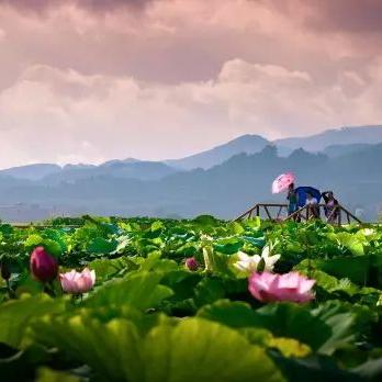 南宁市黎塘镇属于哪个县