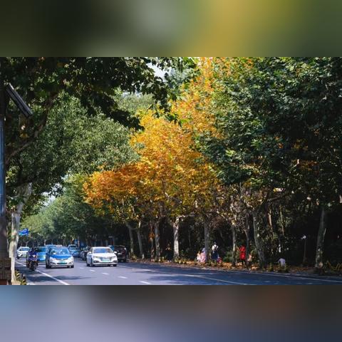 宁波到舟山的车票的长尾关键词有什么