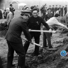 厦门小东山附近哪里停车便宜？