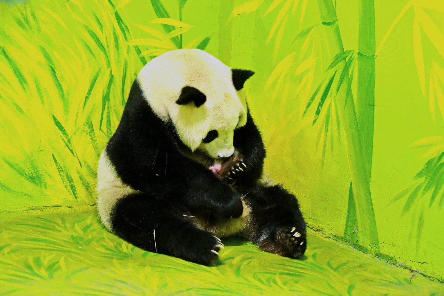 国庆出生的宝宝怎么起名(你家孩子的名字怎样来的)