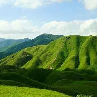福建宁德鸳鸯的相关长尾关键词有哪些