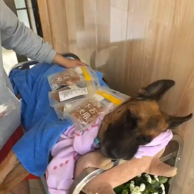 沈阳市15中学怎么走