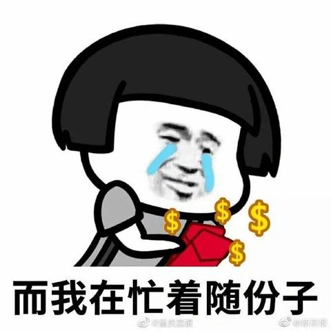 桂林市买猫猫的店铺有哪些