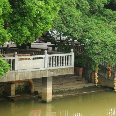 佛山市禅城区哪里能钓鱼