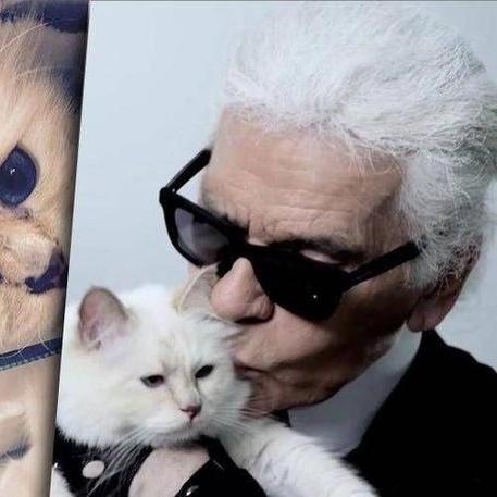 热度富豪电影有哪些