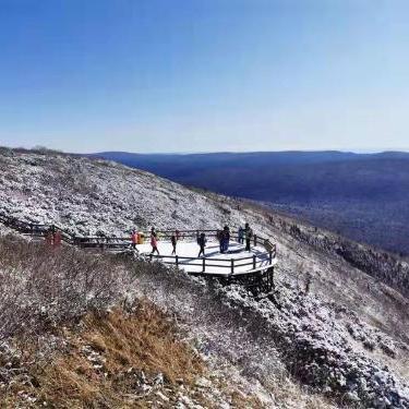 大连市林业局在什么地方