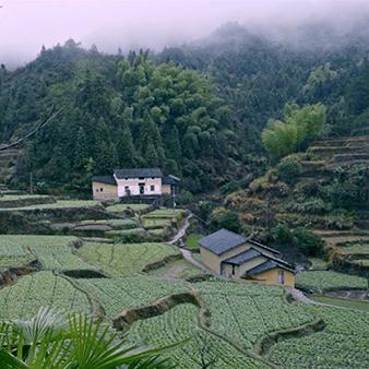 湖北黄石的天气预报的长尾关键词有哪些