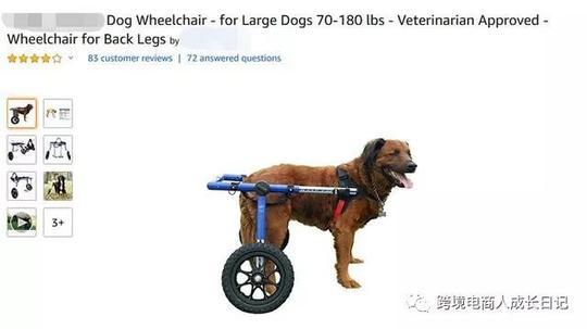 写给新卖家-这名亚马逊冷门类目卖家，一年如何亏损二百万的？